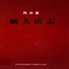 凤台县城关镇志 2010版 PDF电子版