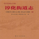 南京市江宁区淳化街道志 2011     PDF电子版