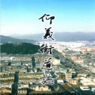 温州市鹿城区仰义街道志    PDF电子版