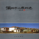 滨州市小康村志 PDF电子版下载