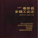 上海市奉贤县乡镇工业志 PDF电子版