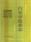 自贡市盐业志      PDF电子版下载