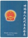 呼玛县人民代表大会志_2006_PDF电子版下载