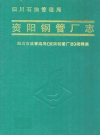 四川石油管理局资阳钢管厂志_本志编辑室_PDF电子版