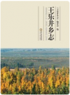 王乐井乡志       PDF电子版下载