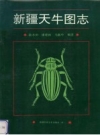 《新疆天牛图志》_陆水田等编著_1993_PDF电子版