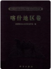新疆维吾尔自治区第三次全国文物普查成果集成 喀什地区卷    2011年版        PDF电子版下载