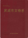 武威市文物志    2004年版        PDF电子版下载