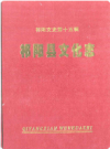 祁阳县文化志      2004年版        PDF电子版下载