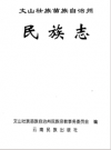 文山壮族苗族自治州民族志    2005年版         PDF电子版下载