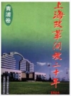 上海改革开放二十年 青浦卷_1998版_PDF电子版下载