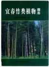 宜春竹类植物图志_2014版_PDF电子版下载