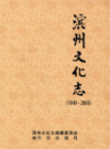 滨州文化志(1949-2009)            2011年版             PDF电子版下载