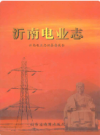 沂南电业志            2008年版             PDF电子版下载