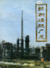 新洲磷肥厂志             1988年版             PDF电子版下载