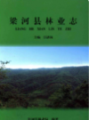 梁河县林业志           2012年版           PDF电子版下载