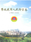 攀枝花市人民防空志(1969~2008)           2008年版            PDF电子版下载