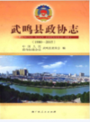 武鸣县政协志 1980-2015             2015年版              PDF电子版下载