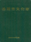 岳阳市文化志                1994年版                 PDF电子版下载