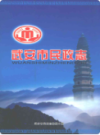 武安市民政志 续 1989-2007                2008年版               PDF电子版下载