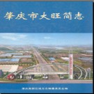 广东省肇庆市大旺简志.pdf下载