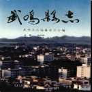 广西武鸣县志.pdf下载