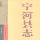 天津市宁河县志.pdf下载