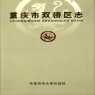 重庆市双桥区志.pdf下载